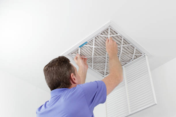 Best Residential Air Duct Cleaning in Viola, NY